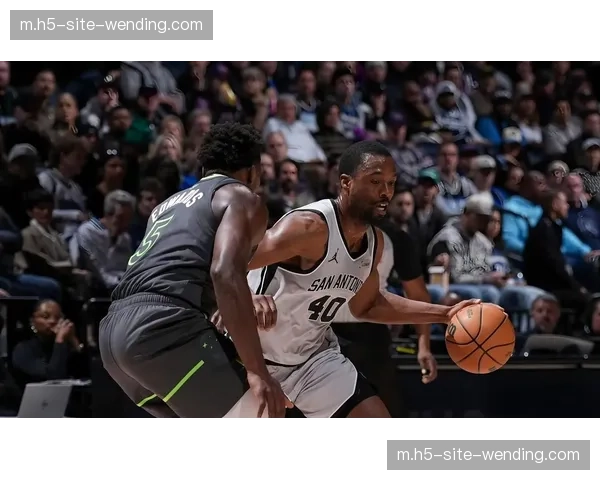 西部四强垄断攻防效率前十 雷霆火箭森林狼马刺均衡